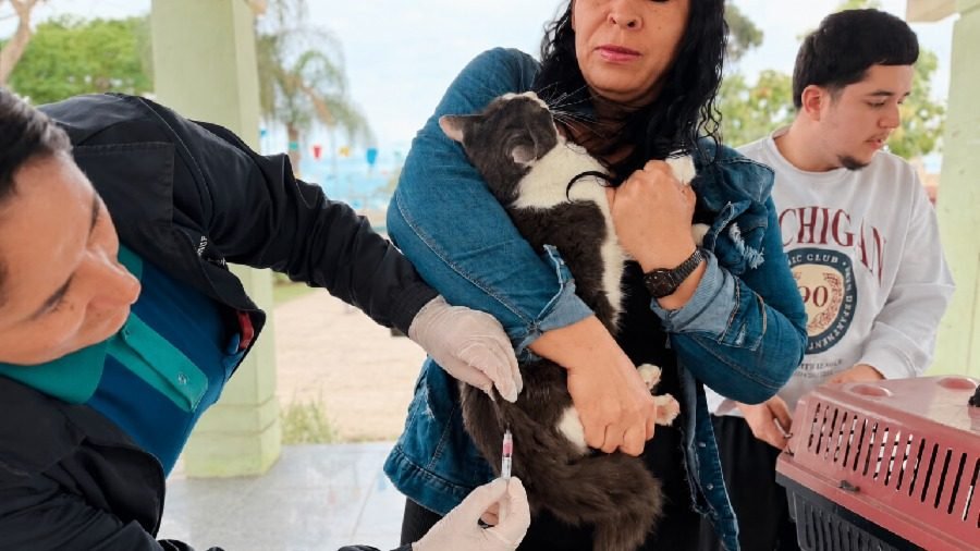 Serra vacina mais de 57 mil cães e gatos contra a raiva